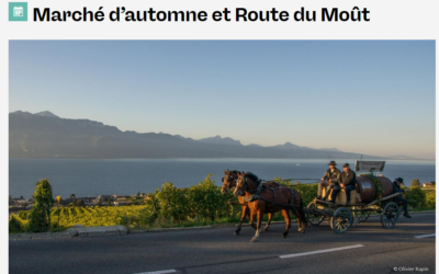 Payerne  5 octobre 2024